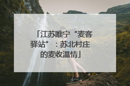 江苏睢宁“麦客驿站”：苏北村庄的麦收温情