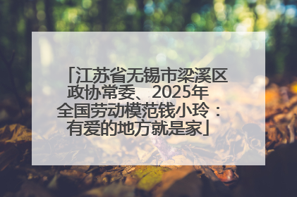 江苏省无锡市梁溪区政协常委、2025年全国劳动模范钱小玲：有爱的地方就是家