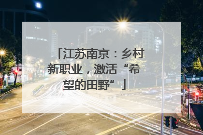 江苏南京：乡村新职业，激活“希望的田野”