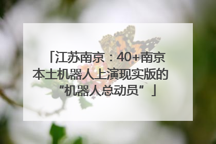 江苏南京：40+南京本土机器人上演现实版的“机器人总动员”