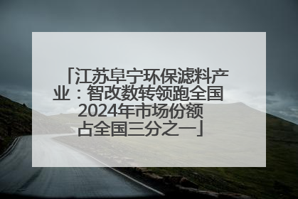 江苏阜宁环保滤料产业：智改数转领跑全国 2024年市场份额占全国三分之一
