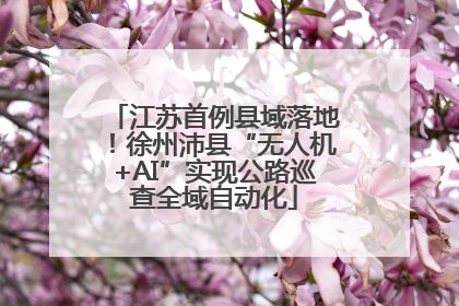 江苏首例县域落地！徐州沛县“无人机+AI”实现公路巡查全域自动化