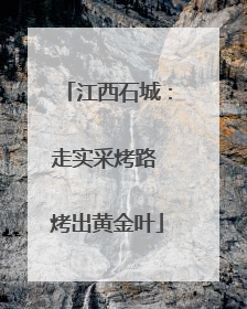 江西石城：走实采烤路 烤出黄金叶