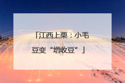 江西上栗：小毛豆变“增收豆”