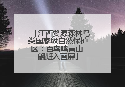 江西婺源森林鸟类国家级自然保护区：百鸟鸣青山 翩跹入画屏