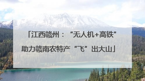 江西赣州：“无人机+高铁”助力赣南农特产“飞”出大山