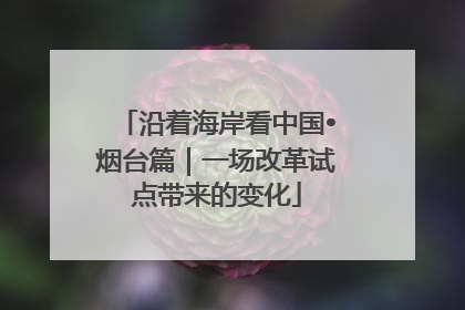 沿着海岸看中国•烟台篇｜一场改革试点带来的变化