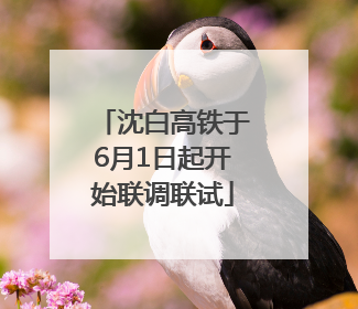 沈白高铁于6月1日起开始联调联试