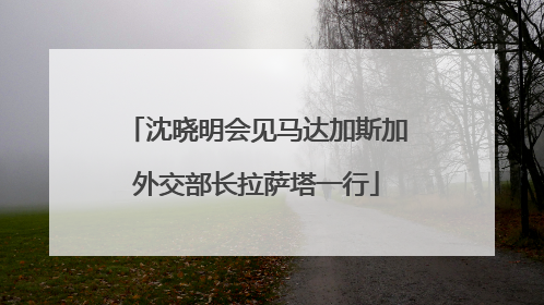 沈晓明会见马达加斯加外交部长拉萨塔一行
