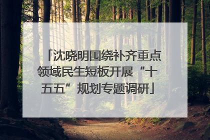 沈晓明围绕补齐重点领域民生短板开展“十五五”规划专题调研