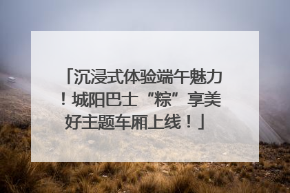 沉浸式体验端午魅力！城阳巴士“粽”享美好主题车厢上线！