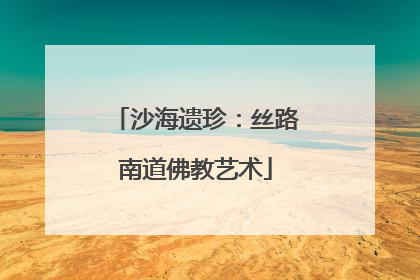 沙海遗珍：丝路南道佛教艺术
