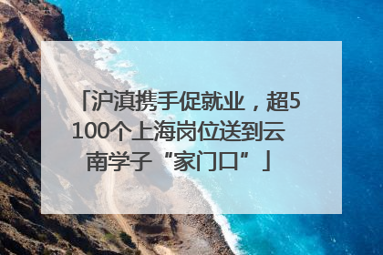 沪滇携手促就业，超5100个上海岗位送到云南学子“家门口”