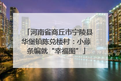 河南省商丘市宁陵县华堡镇陈兑楼村：小藤条编就“幸福图”