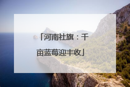 河南社旗：千亩蓝莓迎丰收