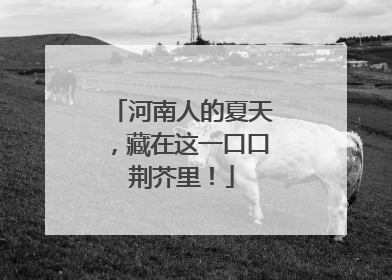 河南人的夏天，藏在这一口口荆芥里！