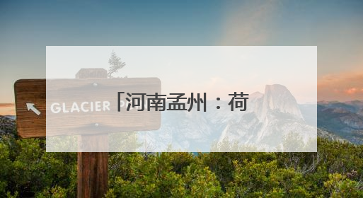 河南孟州：荷香引得游客来