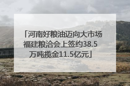河南好粮油迈向大市场 福建粮洽会上签约38.5万吨揽金11.5亿元