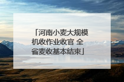河南小麦大规模机收作业收官 全省麦收基本结束