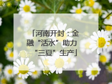 河南开封：金融“活水”助力“三夏”生产