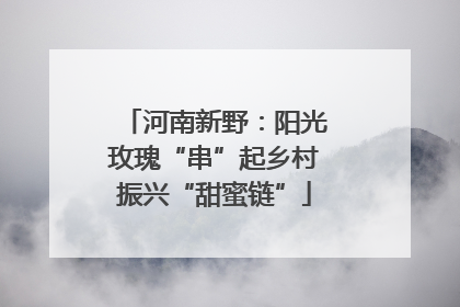 河南新野：阳光玫瑰“串”起乡村振兴“甜蜜链”
