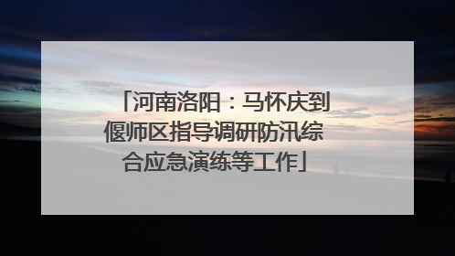 河南洛阳：马怀庆到偃师区指导调研防汛综合应急演练等工作