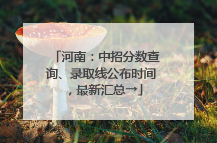 河南：中招分数查询、录取线公布时间，最新汇总→
