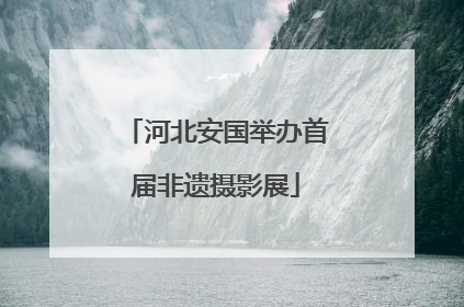 河北安国举办首届非遗摄影展