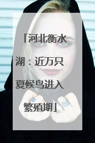 河北衡水湖：近万只夏候鸟进入繁殖期
