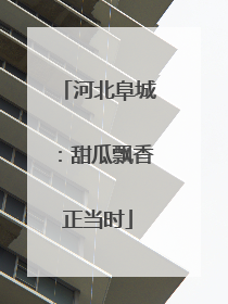 河北阜城：甜瓜飘香正当时