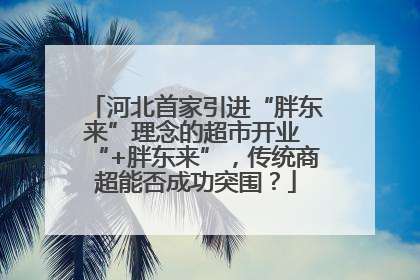 河北首家引进“胖东来”理念的超市开业 “+胖东来”，传统商超能否成功突围？