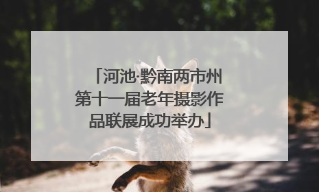 河池·黔南两市州第十一届老年摄影作品联展成功举办