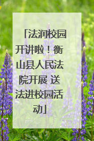 法润校园开讲啦！衡山县人民法院开展 送法进校园活动