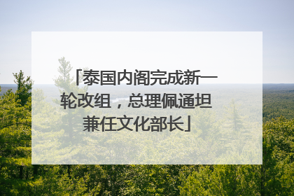 泰国内阁完成新一轮改组，总理佩通坦兼任文化部长