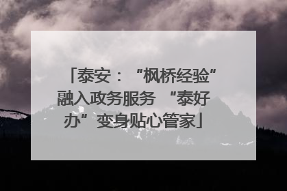 泰安：“枫桥经验”融入政务服务 “泰好办”变身贴心管家