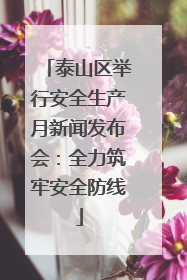泰山区举行安全生产月新闻发布会：全力筑牢安全防线