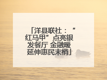 洋县联社：“红马甲”点亮银发餐厅 金融暖延伸惠民末梢