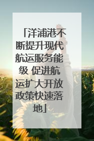 洋浦港不断提升现代航运服务能级 促进航运扩大开放政策快速落地