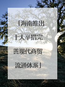 海南推出十大举措完善现代商贸流通体系