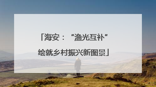 海安：“渔光互补” 绘就乡村振兴新图景