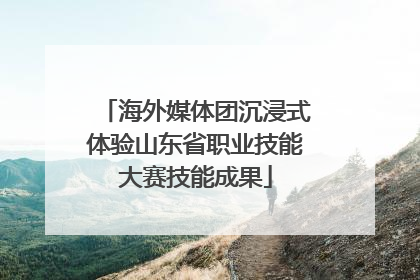 海外媒体团沉浸式体验山东省职业技能大赛技能成果