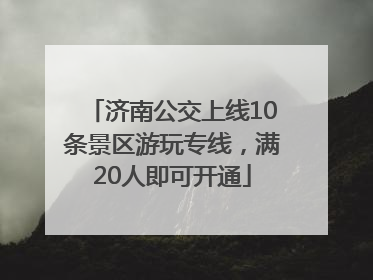 济南公交上线10条景区游玩专线，满20人即可开通