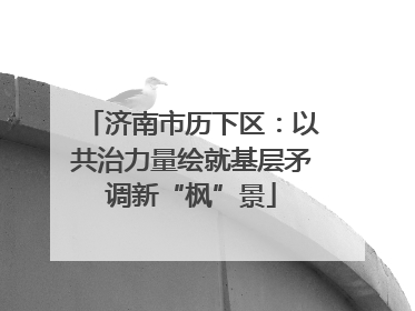 济南市历下区：以共治力量绘就基层矛调新“枫”景