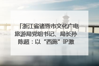浙江省诸暨市文化广电旅游局党组书记、局长孙陈超：以“西施”IP激活全域旅游 打造县域文旅融合新标杆｜第七届全国县域旅游研究成果发布系列活动