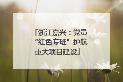 浙江嘉兴：党员“红色专班”护航重大项目建设