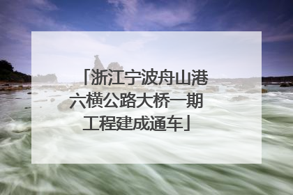 浙江宁波舟山港六横公路大桥一期工程建成通车