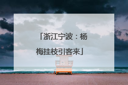 浙江宁波：杨梅挂枝引客来