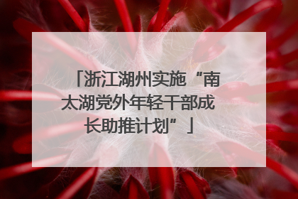 浙江湖州实施“南太湖党外年轻干部成长助推计划”