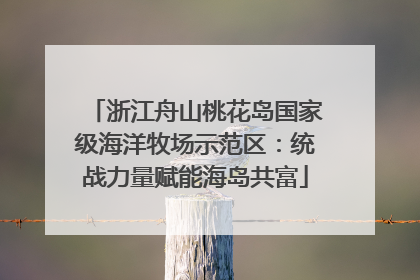 浙江舟山桃花岛国家级海洋牧场示范区：统战力量赋能海岛共富