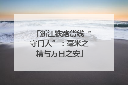 浙江铁路货线“守门人”：毫米之精与万日之安